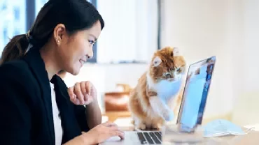 Person smiling at laptop with curious cat nearby.