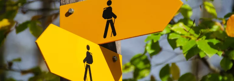 Yellow hiking trail signs on a wooden post surrounded by green leaves.