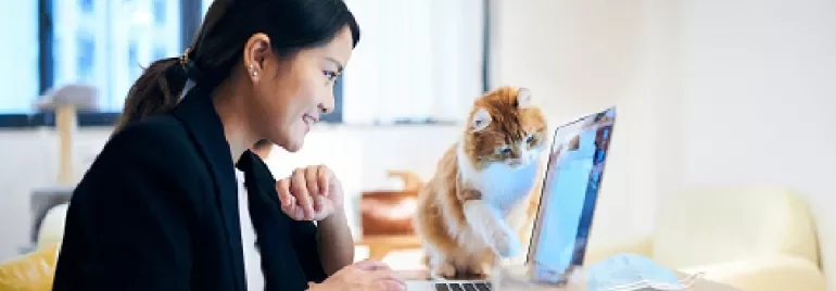Person smiling at laptop with curious cat nearby.