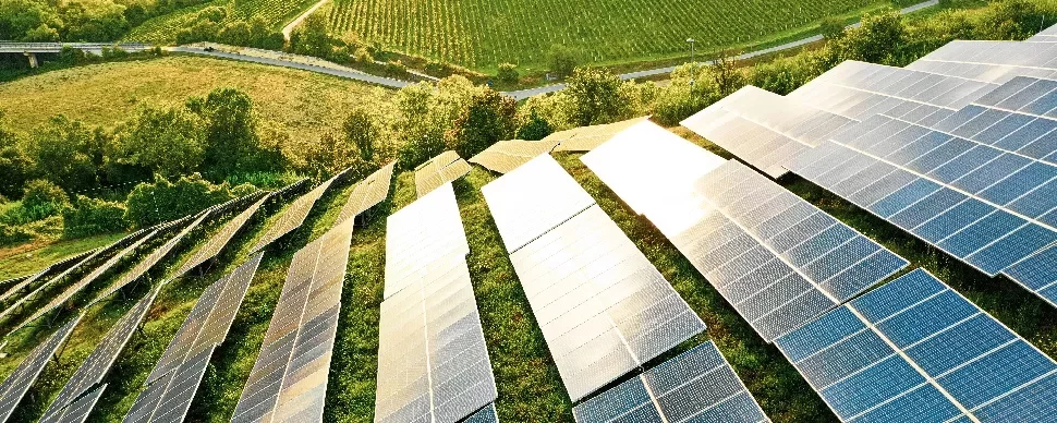 Solar panels in a field with green hills and trees in the background.