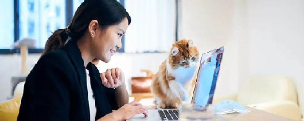 Person smiling at laptop with curious cat nearby.