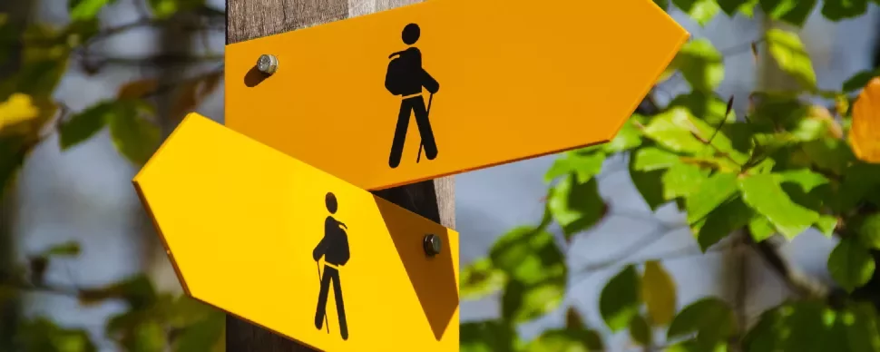 Yellow hiking trail signs on a wooden post surrounded by green leaves.